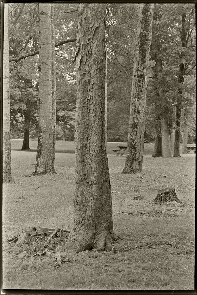 Schooley's Mountain Park 