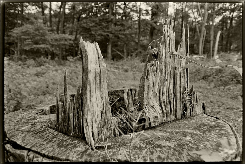 Schooley's Mountain Park 