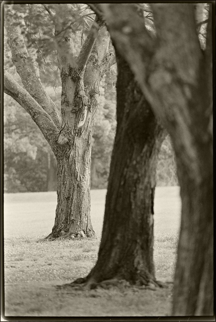 Schooley's Mountain Park 