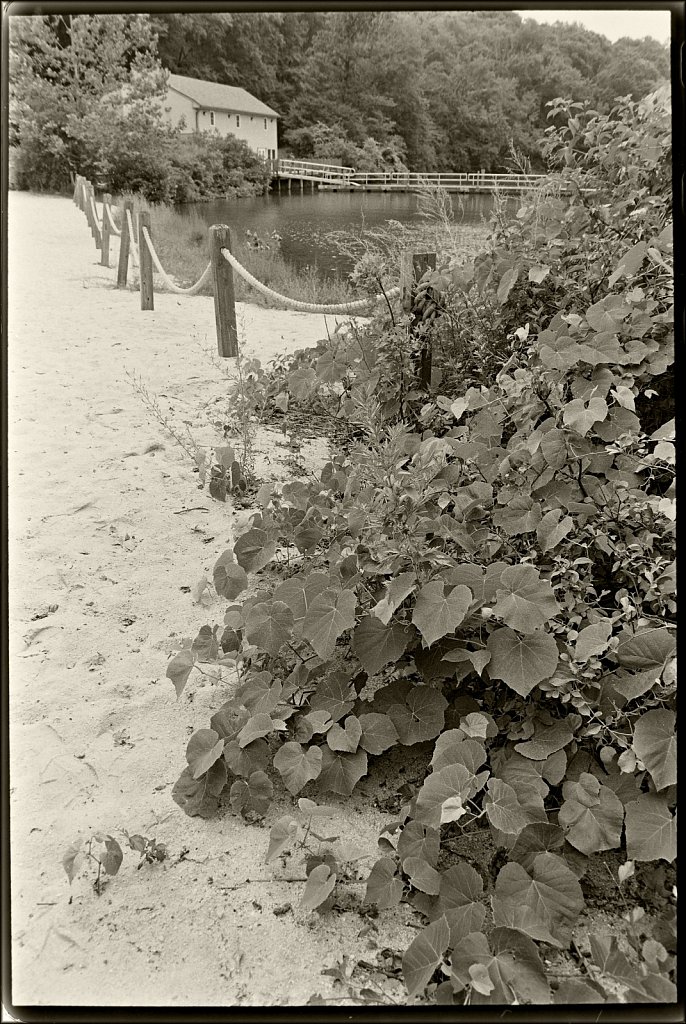 Schooley's Mountain Park 
