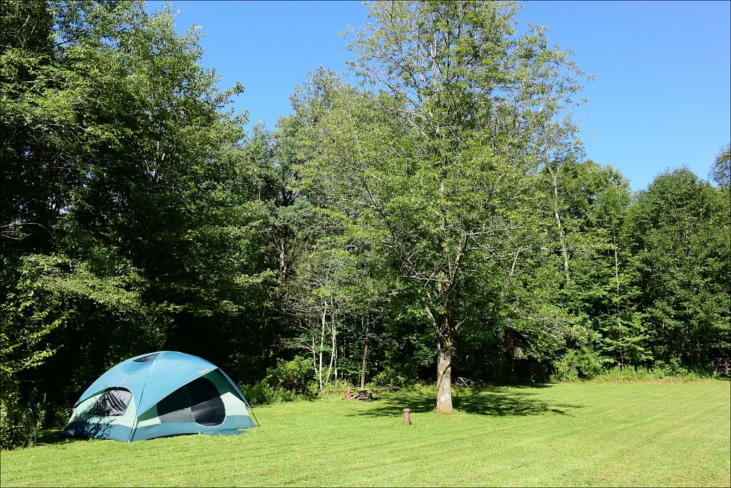 Upstate NY 2024