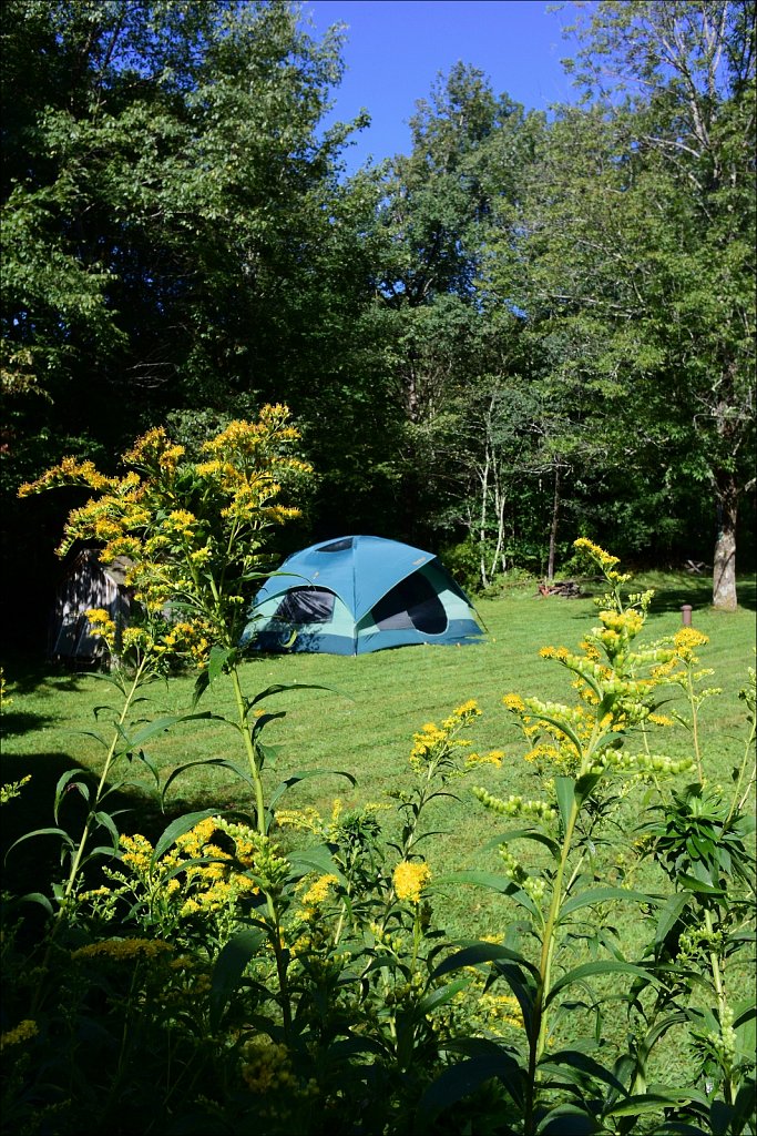 Upstate NY 2024