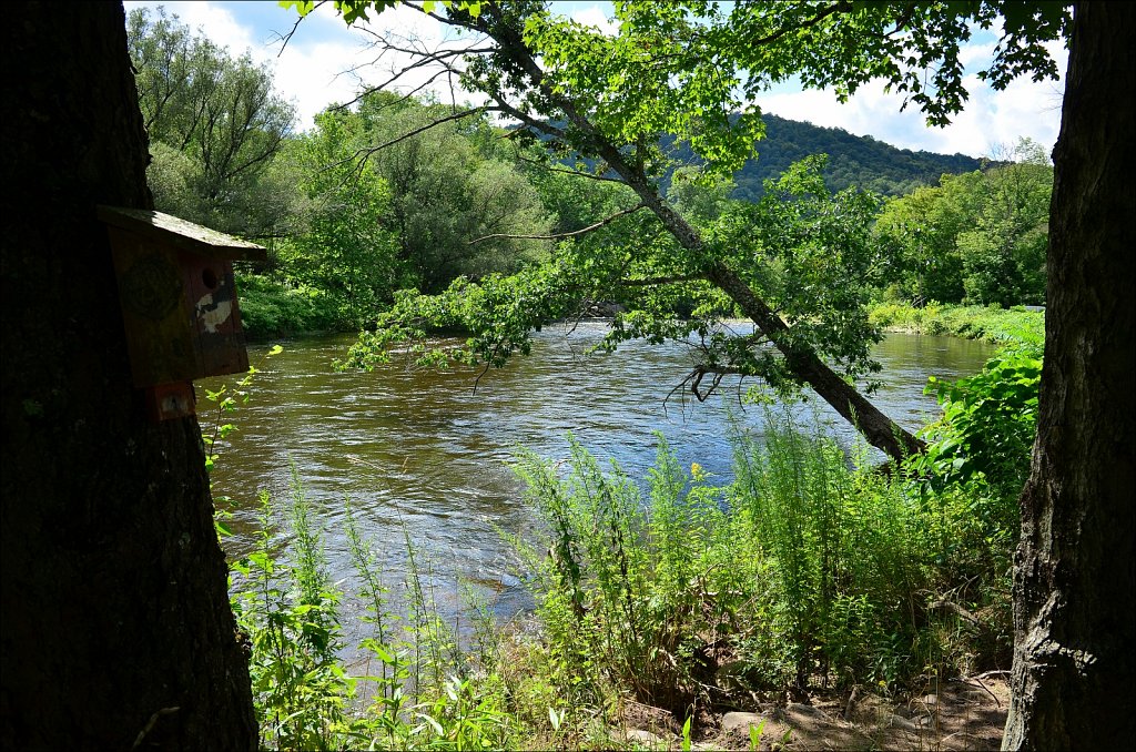 Upstate NY 2024
