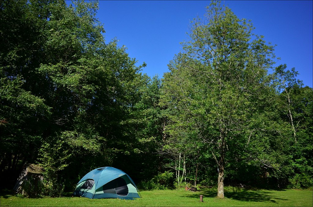 Upstate NY 2024