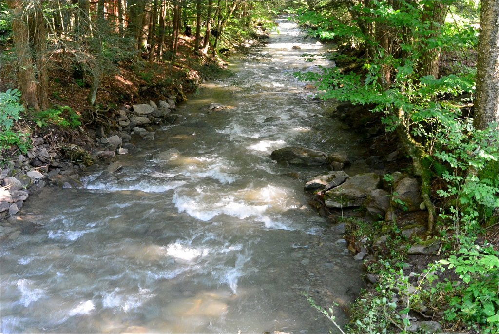 Upstate NY 2024