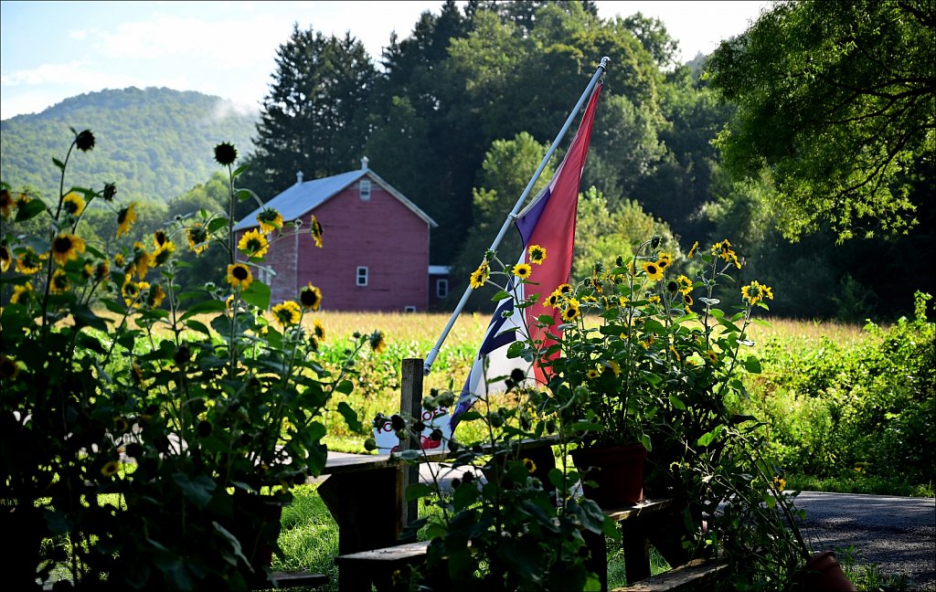 Upstate NY 2024