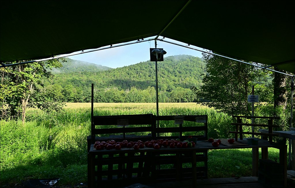 Upstate NY 2024