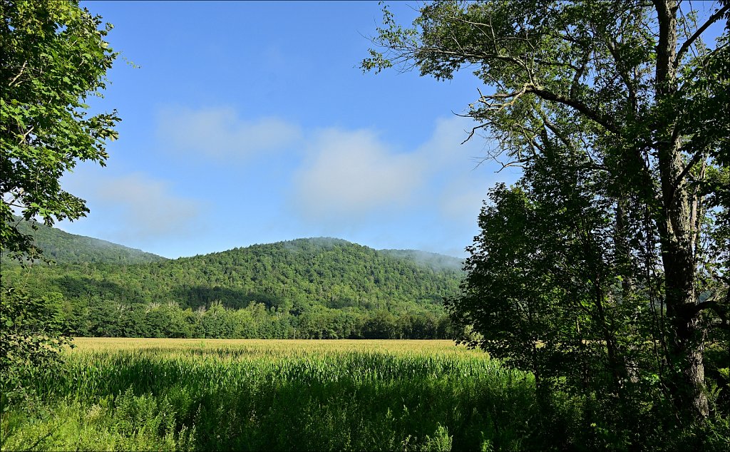 Upstate NY 2024