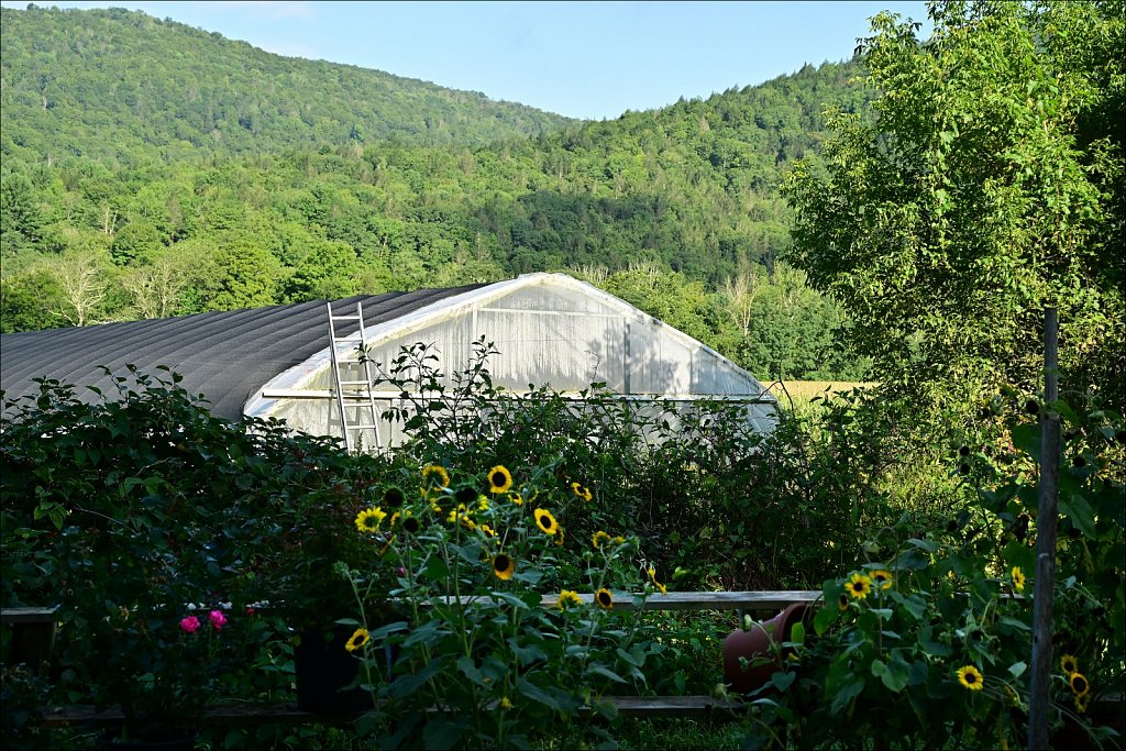 Upstate NY 2024