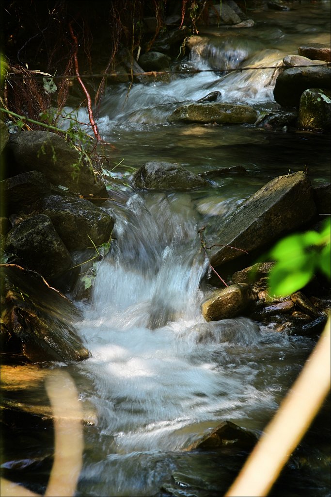 Upstate NY 2024