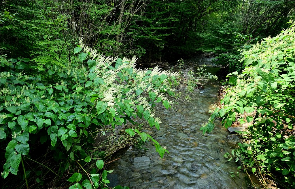 Upstate NY 2024