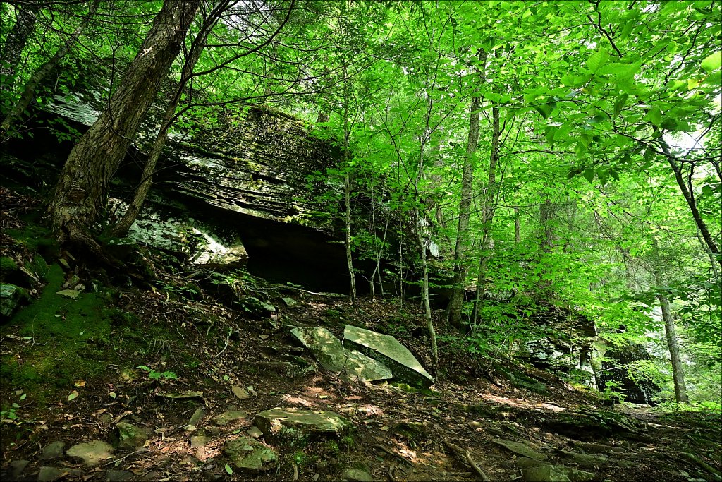 Upstate NY 2024