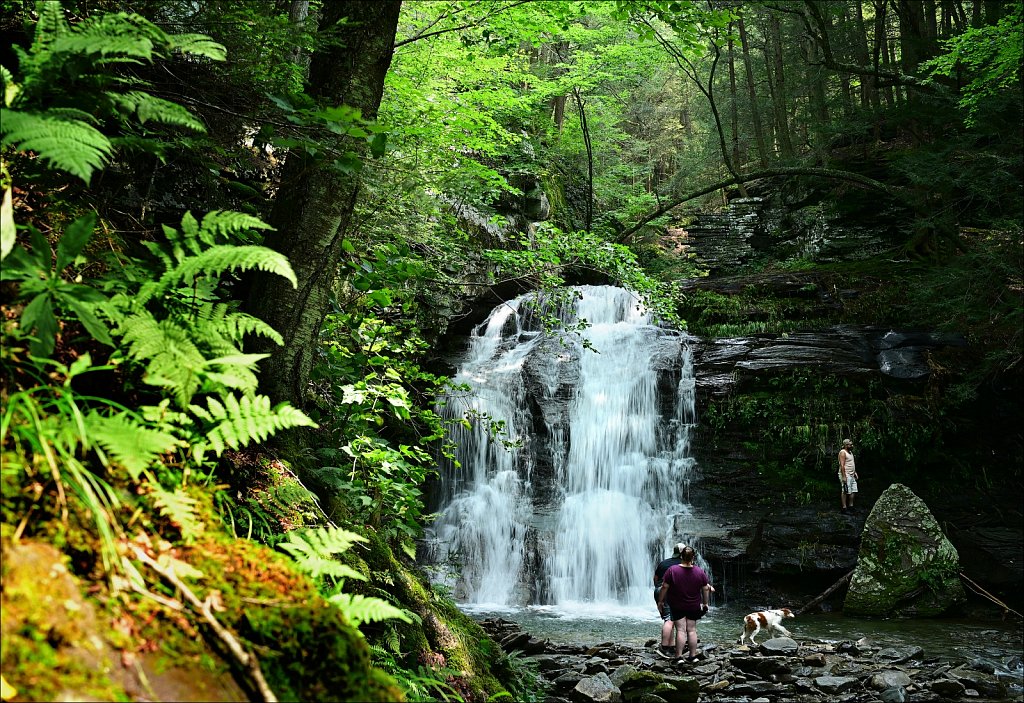 Upstate NY 2024