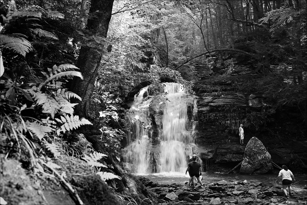 Upstate NY 2024