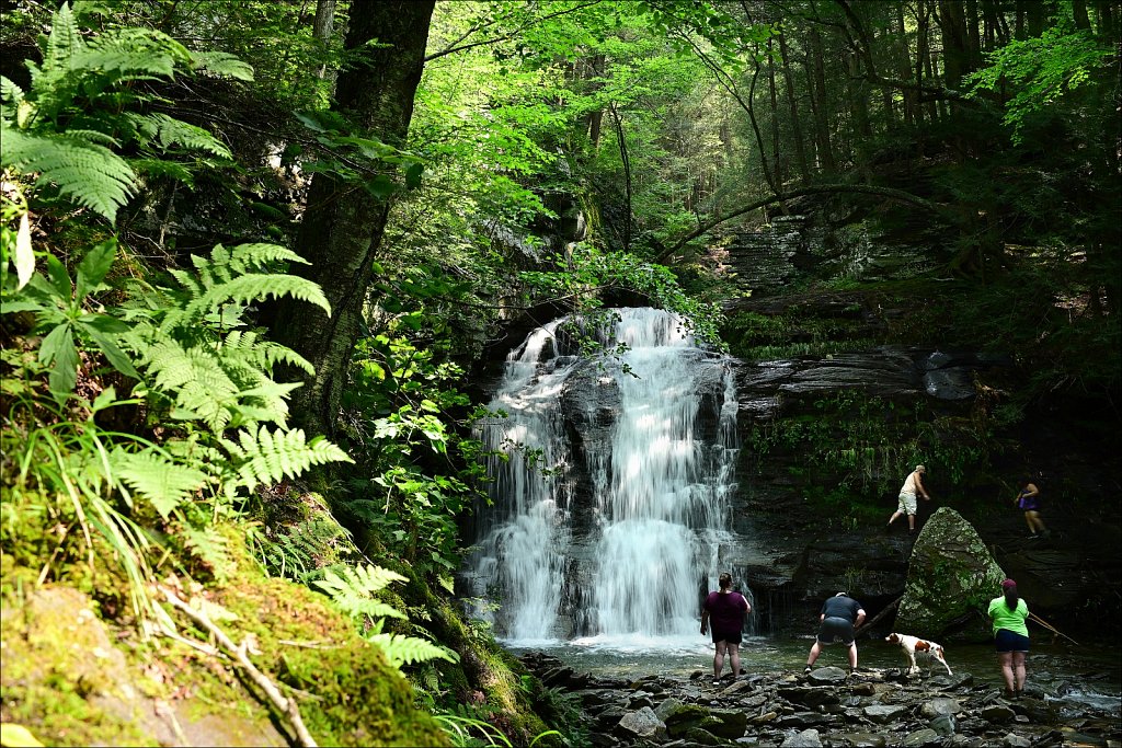 Upstate NY 2024