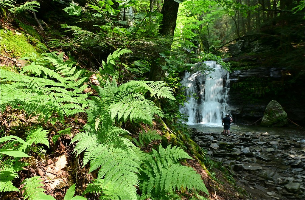 Upstate NY 2024
