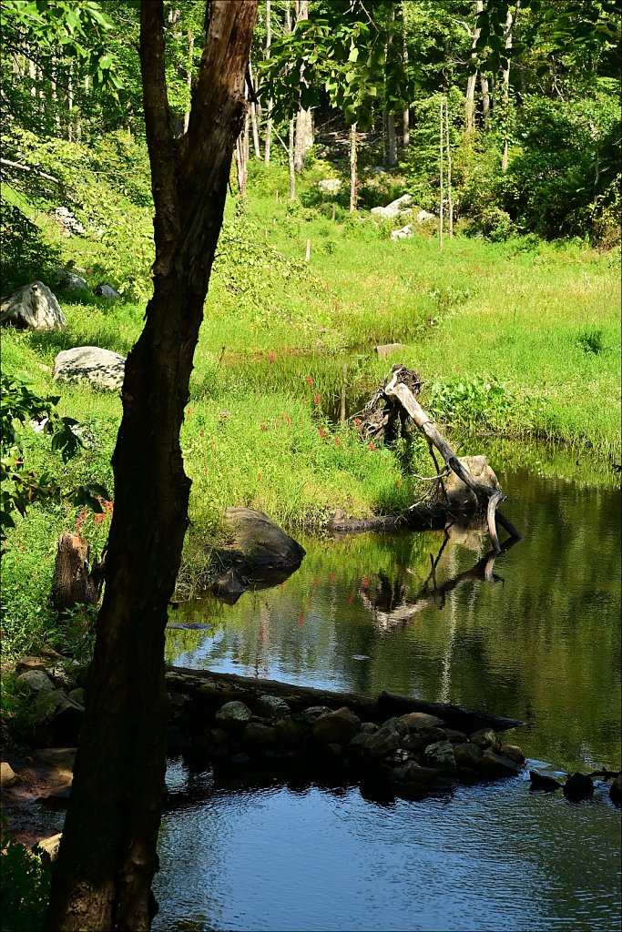 Along The Sussex Branch Trail