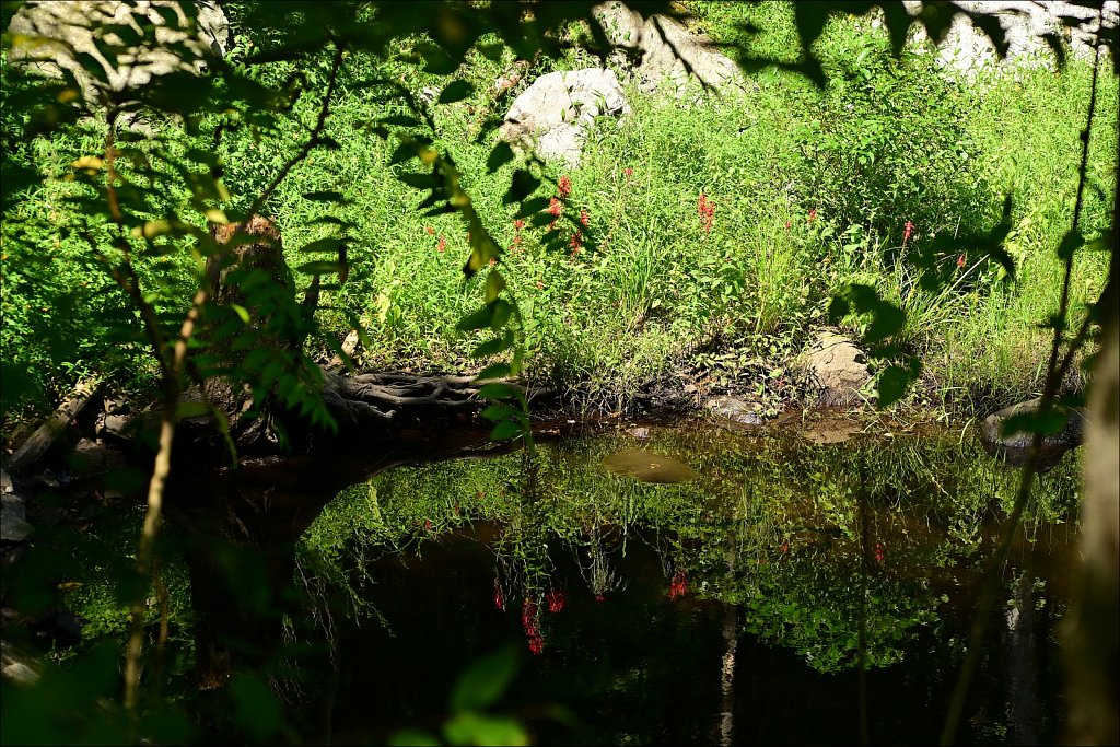 Along The Sussex Branch Trail