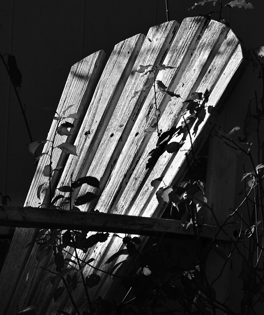 DSC-3111-copy.jpg