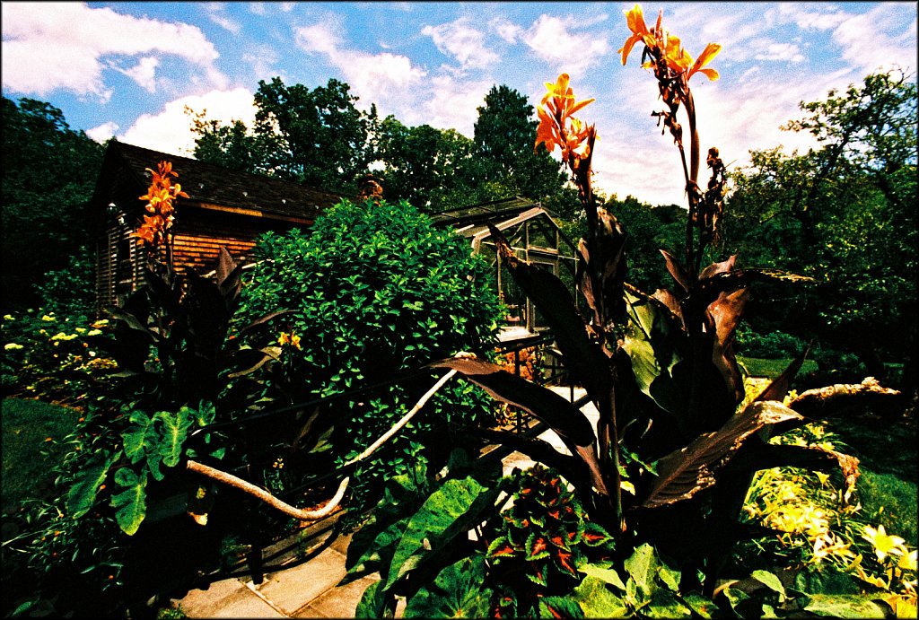 Willowwood Arboretum 