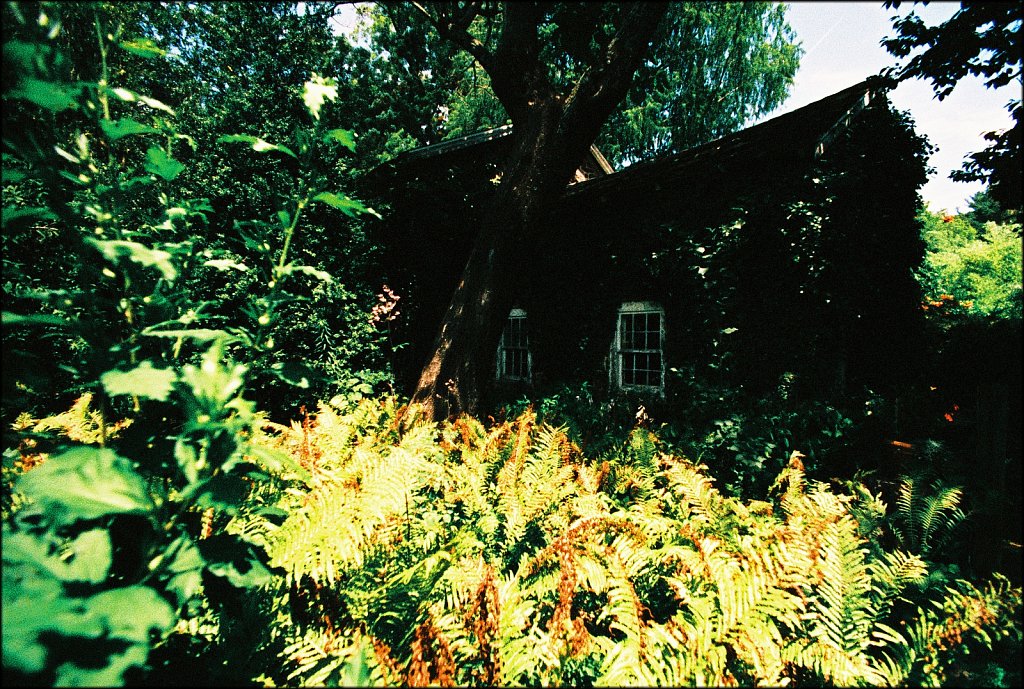 Willowwood Arboretum 