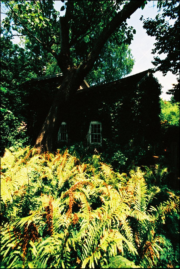 Willowwood Arboretum 