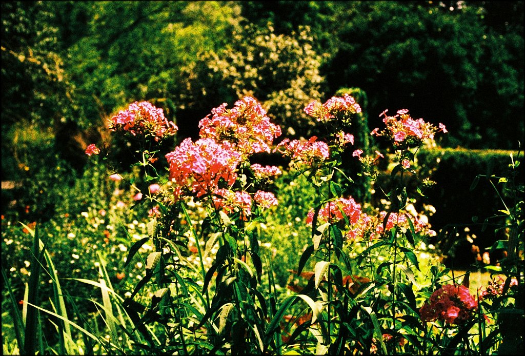 Willowwood Arboretum 