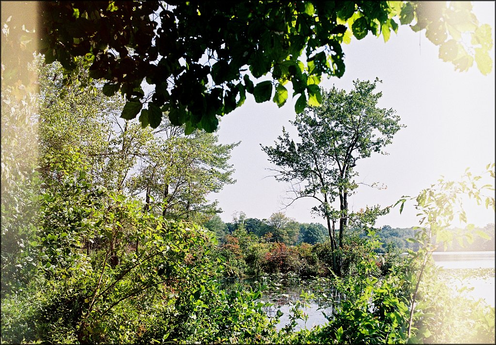 Along The Sussex Branch Trail 