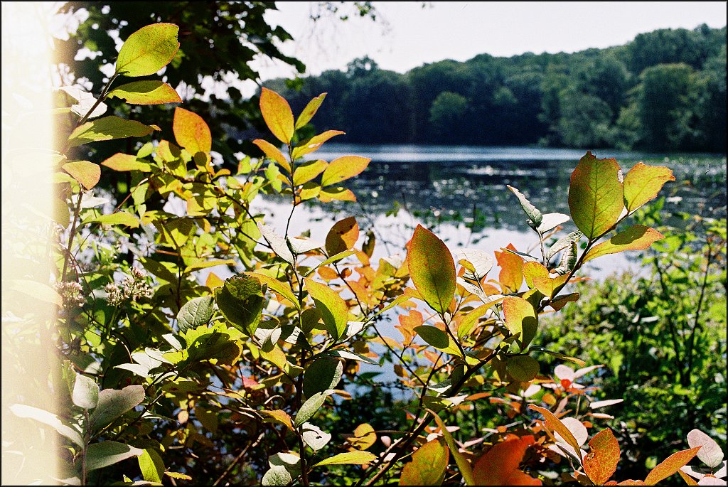 Along The Sussex Branch Trail 