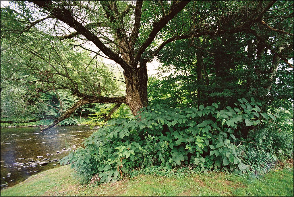Upstate NY 2024