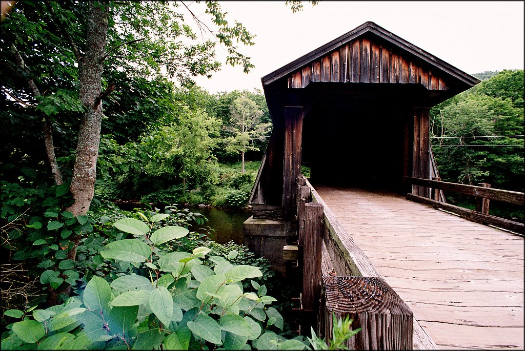 Upstate NY 2024
