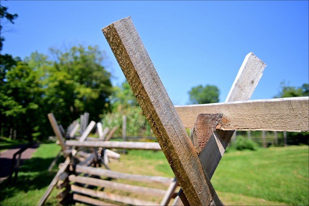 Jockey Hollow 