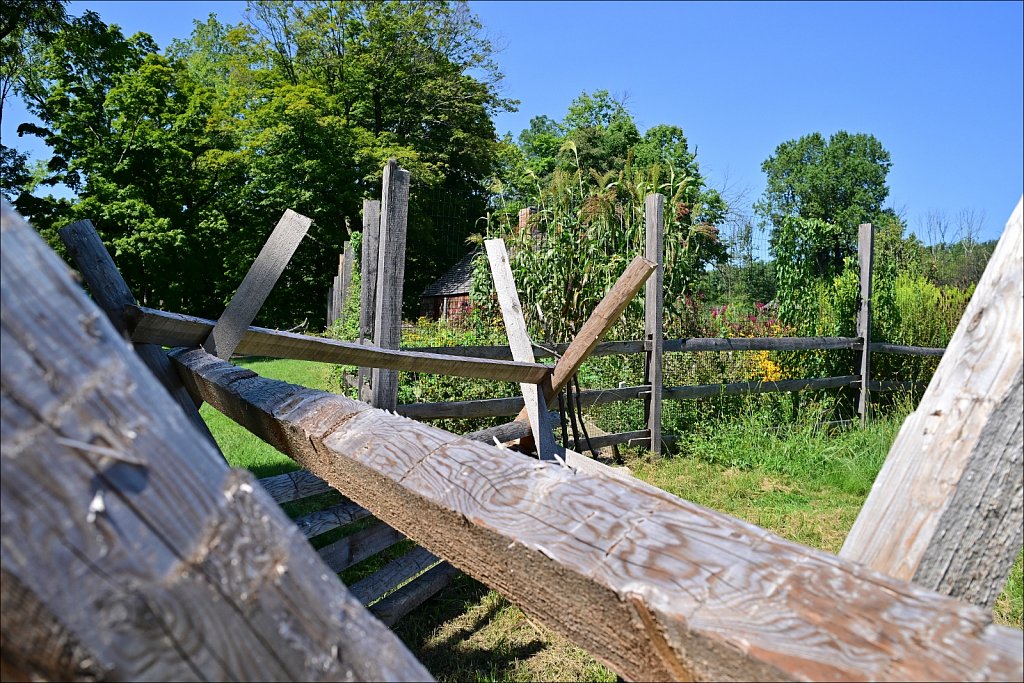 Jockey Hollow 
