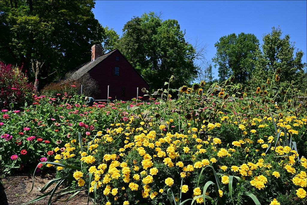 Jockey Hollow 