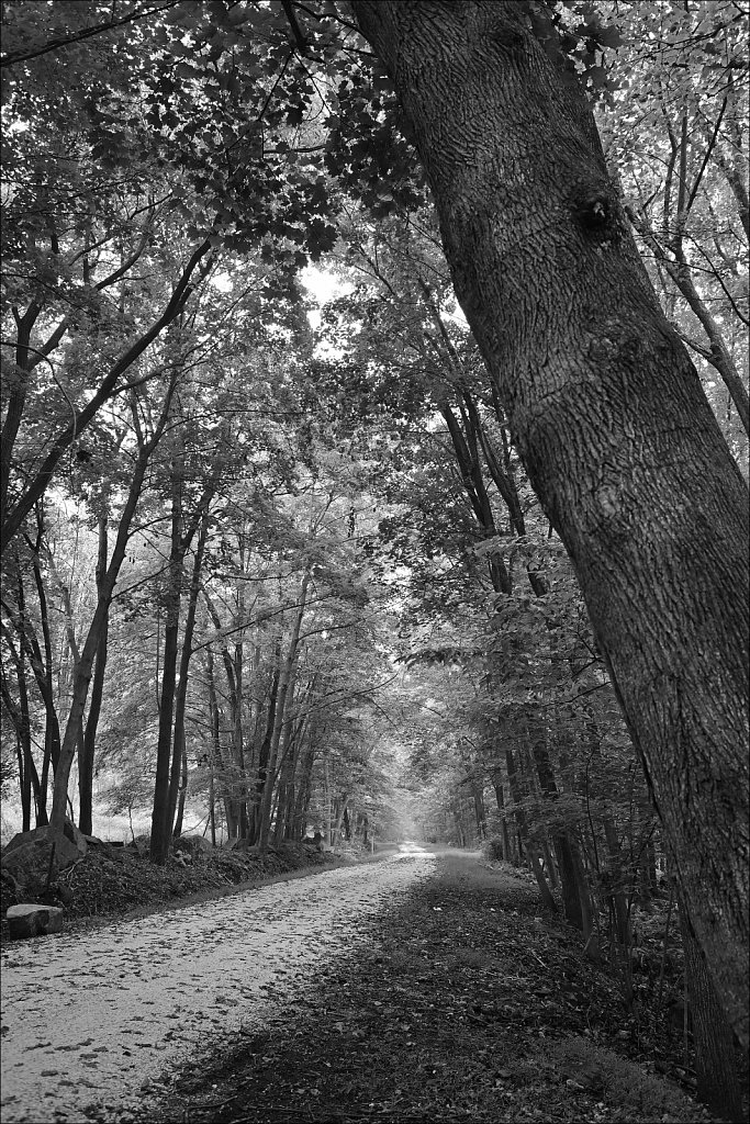Columbia Trail
