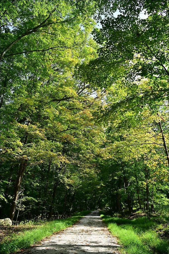 Columbia Trail