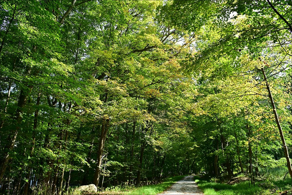Columbia Trail
