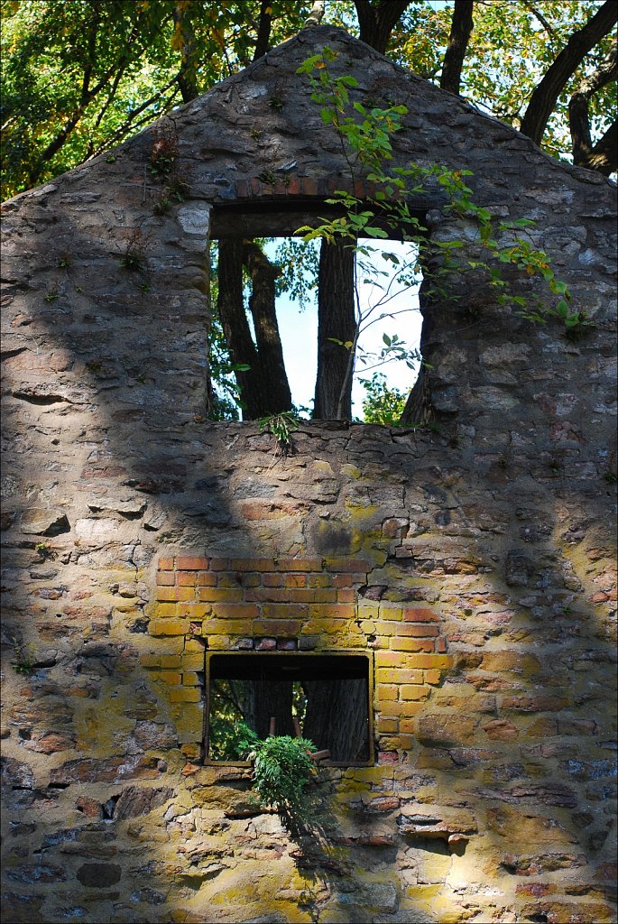 Speedwell Lake Park 