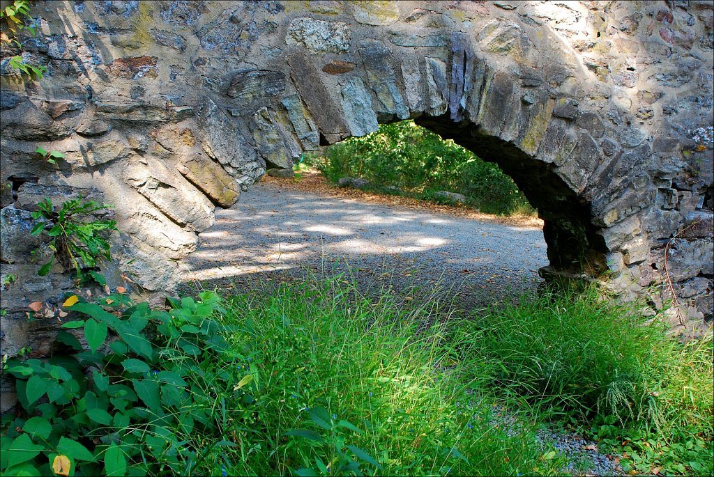 Speedwell Lake Park 