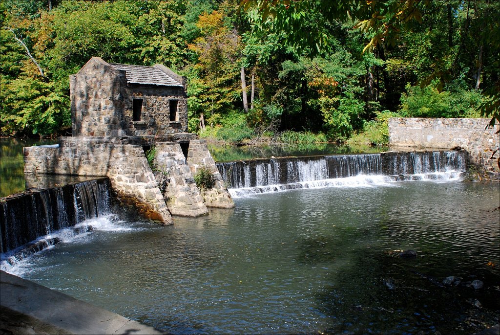 Speedwell Lake Park 