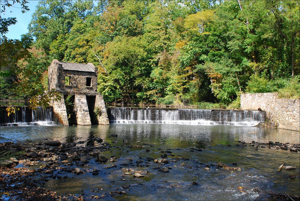 Speedwell Lake Park 