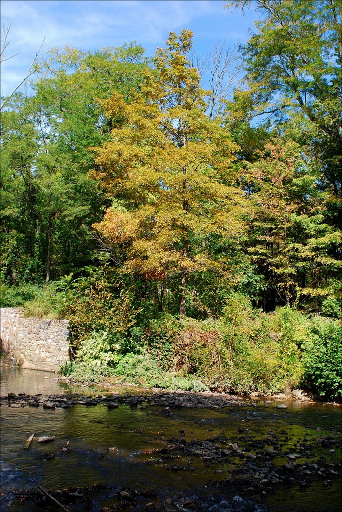 Speedwell Lake Park 