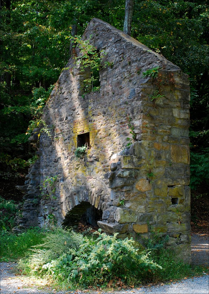 Speedwell Lake Park 