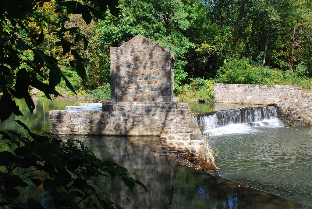 Speedwell Lake Park 
