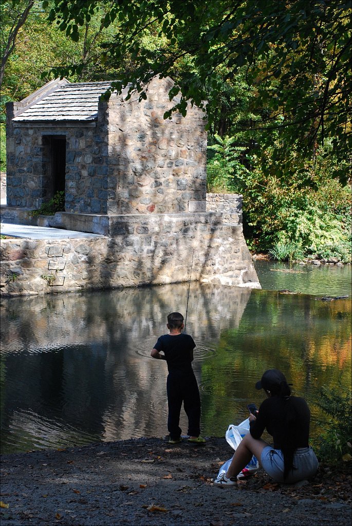 Speedwell Lake Park 