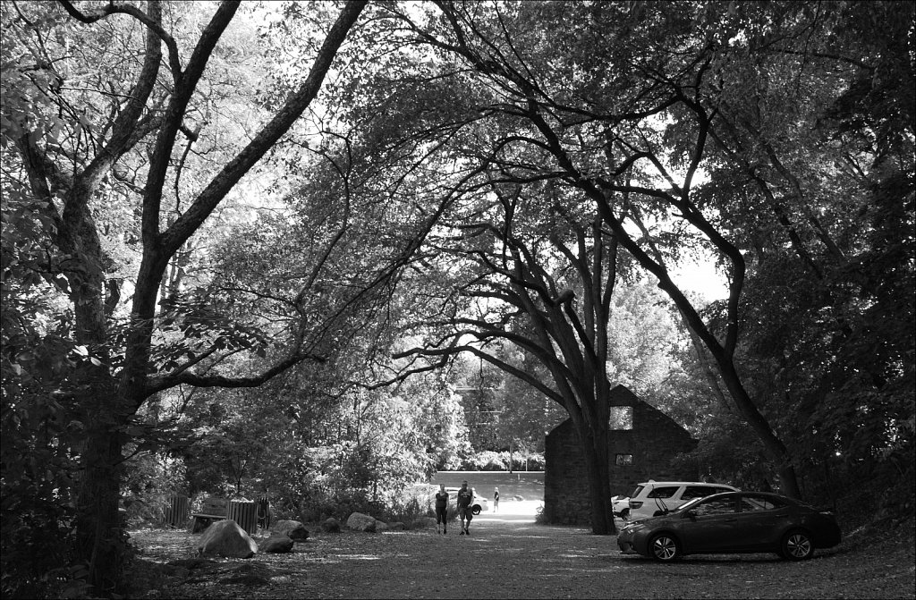Speedwell Lake Park 