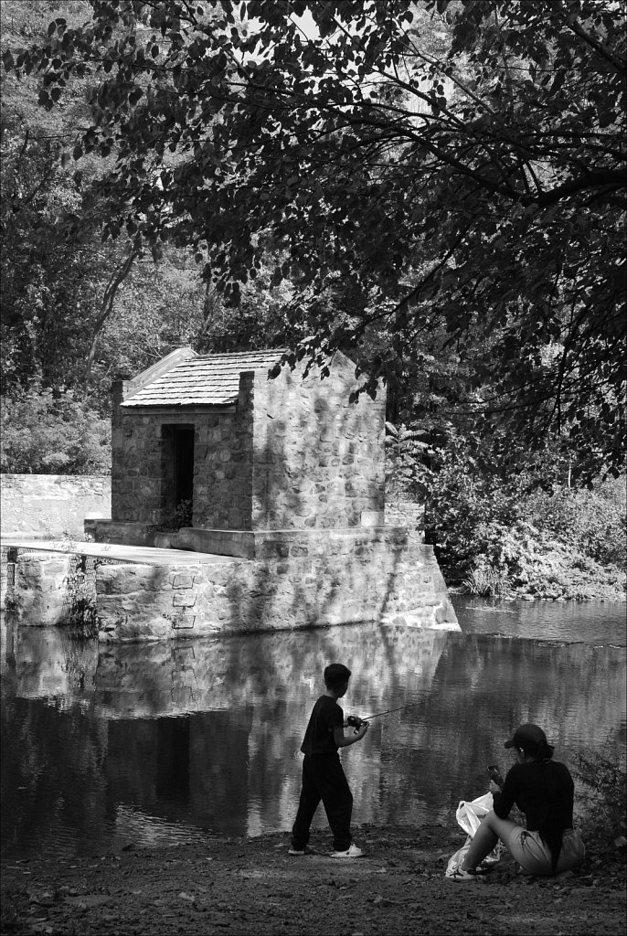 Speedwell Lake Park 