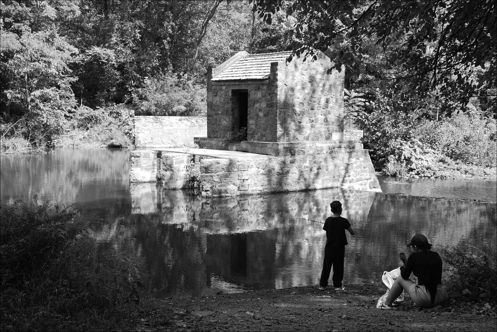 Speedwell Lake Park 
