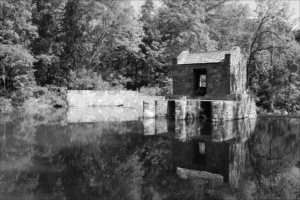 Speedwell Lake Park 