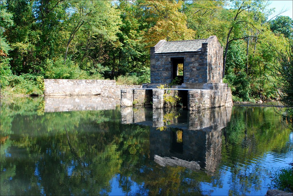 Speedwell Lake Park 